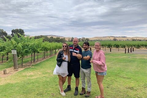 Excursión privada de día completo en autobús del vino McLaren Vale