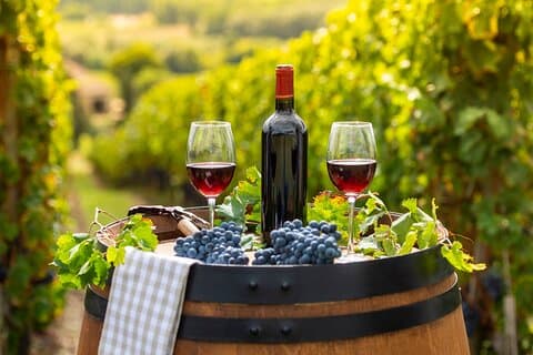 Privat toppprisbelönt Cape Wine Tasting heldagstur