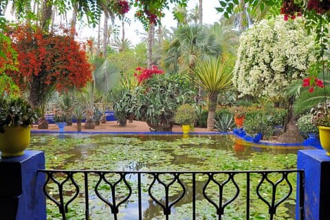 Skip the line at : Majorelle Garden and Palm Garden.