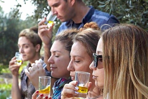 Bio Farm Private Olive Oil Smaking, Farm to Fork-måltid og Temple of Poseidon Tour
