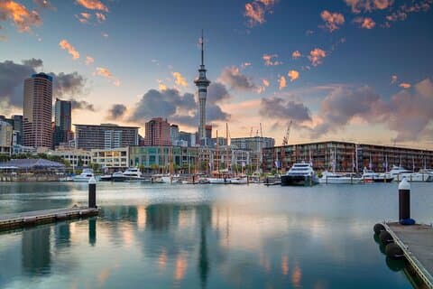 Private Auckland Kulturerbe & Regenwald Entdeckungstour
