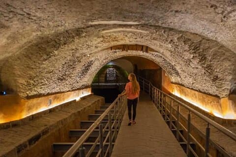 Aventura privada de um dia pelos museus de Guadalajara e Michin Aquarium