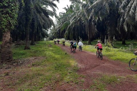 Countryside Cycling Tour. T1.0 by Matahari