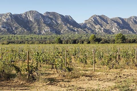 Les Baux de Provence : Vindagstur : 7 timmar