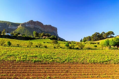 Tour de vino de medio día en grupo pequeño de Provenza desde Aix
