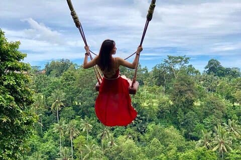Ubud: Gunga - Apskogen - Vattenfall - Tempel - Risterrasser - Konsthantverk