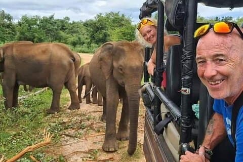 Safari met groen uitzicht
