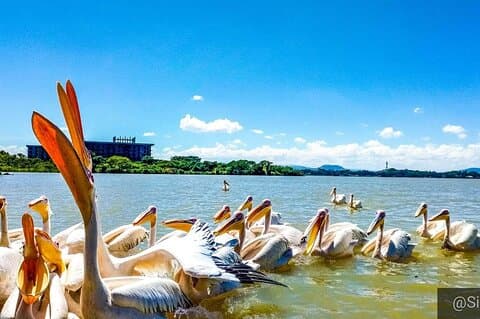 Full day Trip on Lake Tana