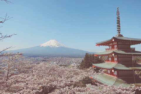 世界で最も有名な観光スポット、富士山、英語を話すガイド付き