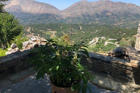 Private Tour Explore the Secrets of Wine, Olives & Honey
