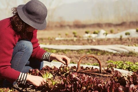 Private Earth Experience in Mendoza