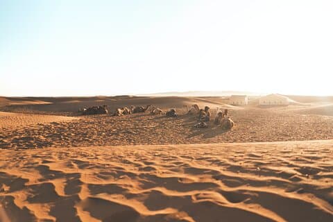 2-Days Zagora Desert Trip From Marrakesh