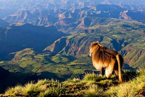 Debre Libanos och portugisiska bron