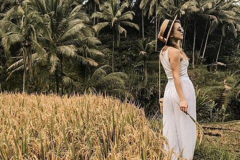 Wonderful of Ubud Tour - (Privat & All-Inclusive)