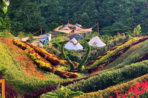 Evo Nature Camp & Adventure Tour in Cebu