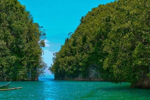 Hermit's Cove and Bojo River Eco Private Tour