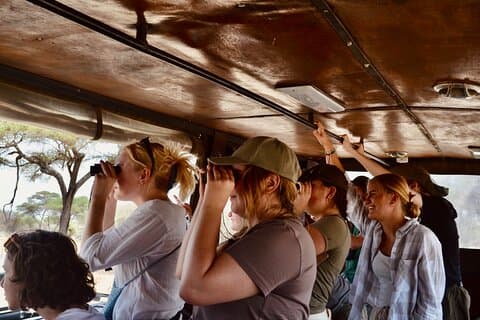 Bedste Safari og Zanzibar 10-dages udflugter