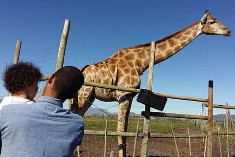 Private Le Cape Animal Farms-dagtour