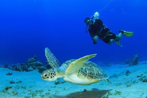 Scuba Referral Immersioni e Beach Club con trasporto in Riviera Maya