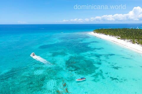 Isla Saona, Piscina natural Estrella de mar, Lancha rápida, Catamarán +Bailes