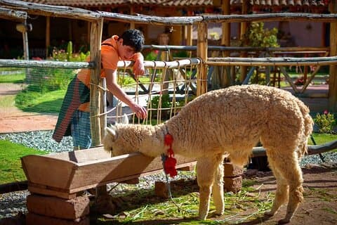 2 Days in Sacred Valley of the Incas Pisac, Museum, Moray, Maras and Ollantaytambo