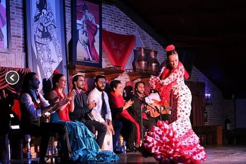 Flamenco nat show og middag i Madrid