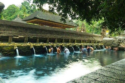 Tour della foresta delle scimmie di Ubud, del tempio dell'acqua santa e delle cascate