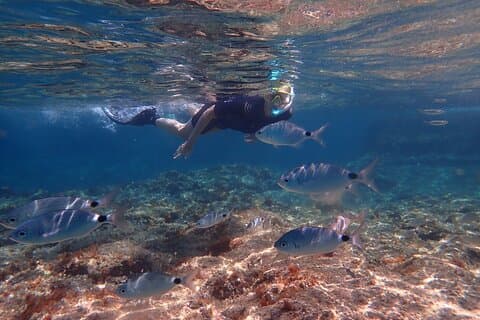 Majorque: plongée en apnée dans une magnifique réserve naturelle