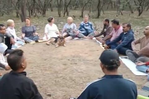 Karma Yoga en Meditatie