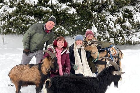 Snowshoeing with mountain goats Private activity