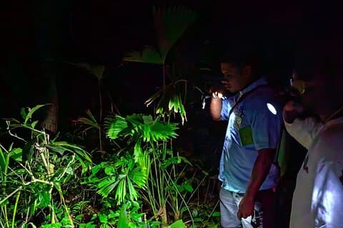 Nocturnal tour in Manzanillo Refuge