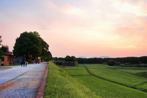 Private tour: Sweet and salty Lucca by E-bike
