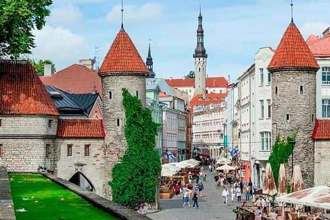 CO2-compensatie Tallinn zelf met Engelstalige chauffeur
