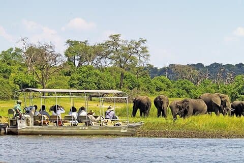 Chobe Day Trip – Chobe National Park Safari Experience