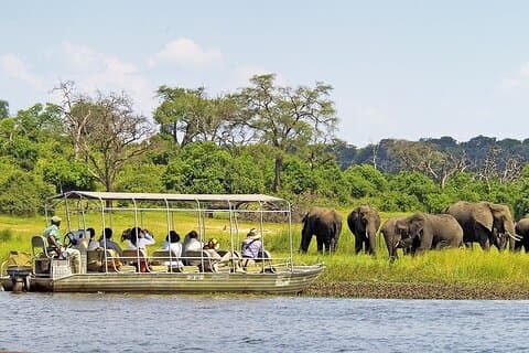 Chobe Boat Safari & Game Drive Day Tour Botswana