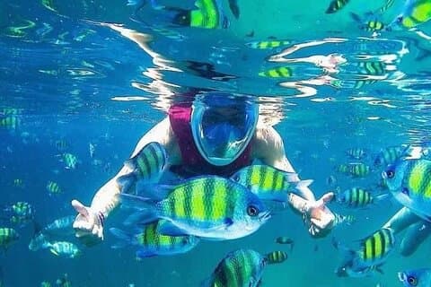 Langkawi Private Marine Odyssey - Snorkel & Mangrove Discovery