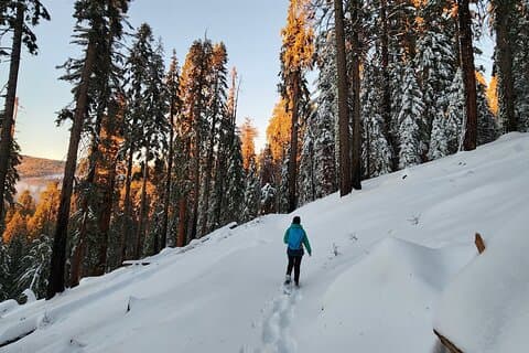 Private Snowshoe Adventure - Sequoia National Park