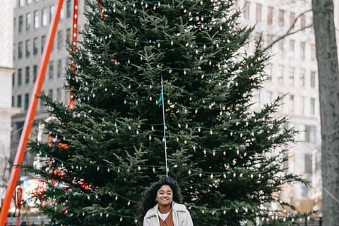 Private Christmas Walking Tour in Saint Louis Historic Center