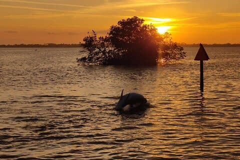 Seværdigheder i nærheden af Cocoa Beach Sunset Tour