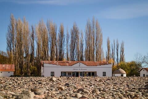 Excursión Privada de Día Completo Parque Nacional Patagonia