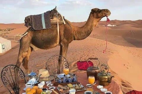 Privat tur fra Marrakech til Merzouga – Luxury Camp & Camel Ride