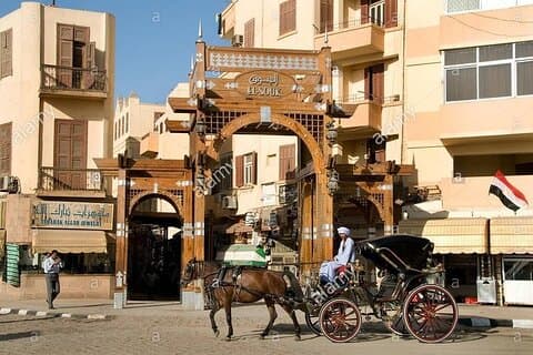 Tour privado en coche de caballos Luxor con guía local