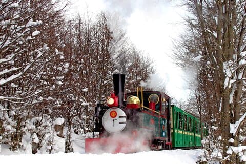 Parc national Terre de Feu d'une demi-journée avec train