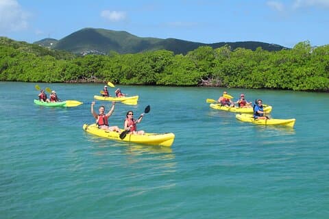St Thomas Shore Udflugt: Mangrove Lagoon Kayak og Snorkel Tour