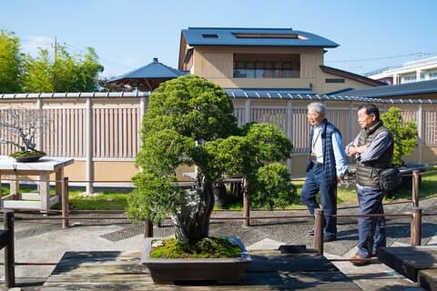 The Best Of Saitama Private Walking Tour