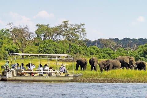 3 - Stunden Chobe River Boat Cruise Safari im Chobe Nationalpark