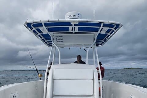 Privat charter för snorkling, simning av grisar, sköldpaddor och fiske....