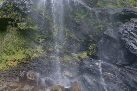 Hoteller i nærheden af Maracas Falls Nature Hike