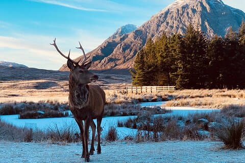 Private Schottische Highlands und Loch Ness Tour ab Edinburgh