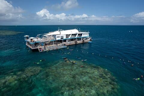 Snorkel & Dive the Reef : visite durable, scientifique et culturelle